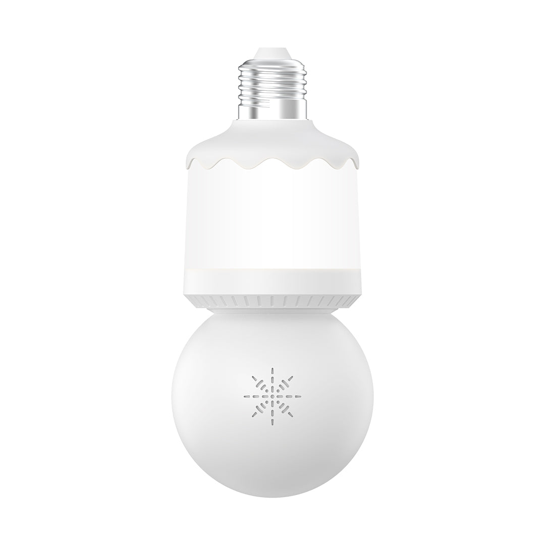 Wireless Security Camera